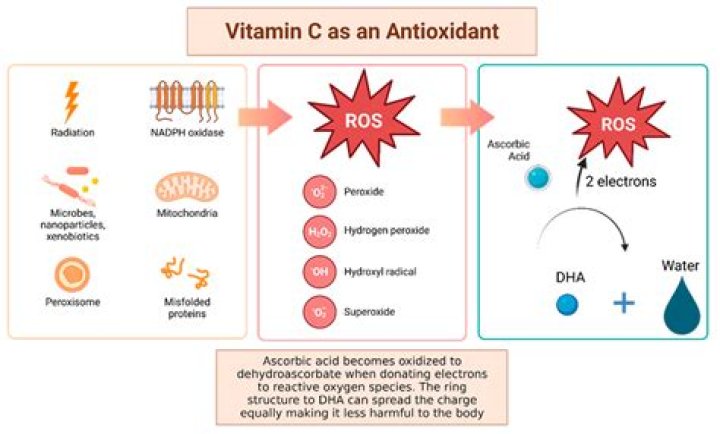 What is the connection between vitamin C and iron