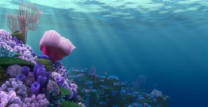 What is the current in Finding Nemo
