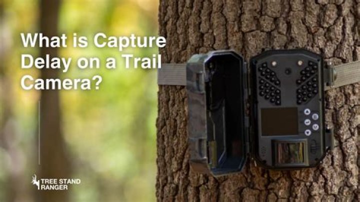 What is the delay on a trail camera?