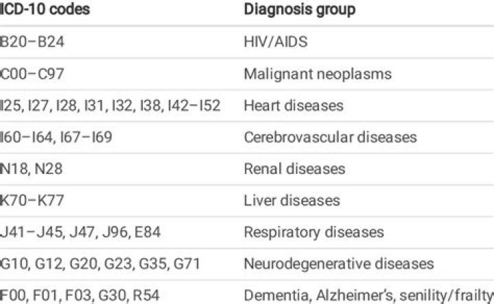 What is the diagnosis code for mallet toe?