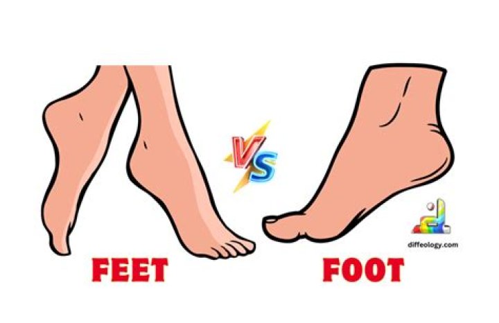 What is the difference between a foot and a feet?