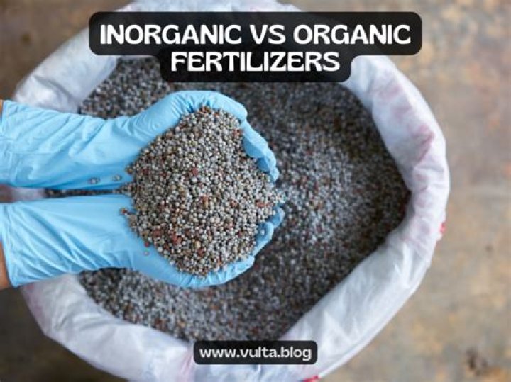 What is the difference between inorganic and organic fertilizers