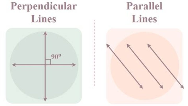 What is the difference between parallel and skew lines
