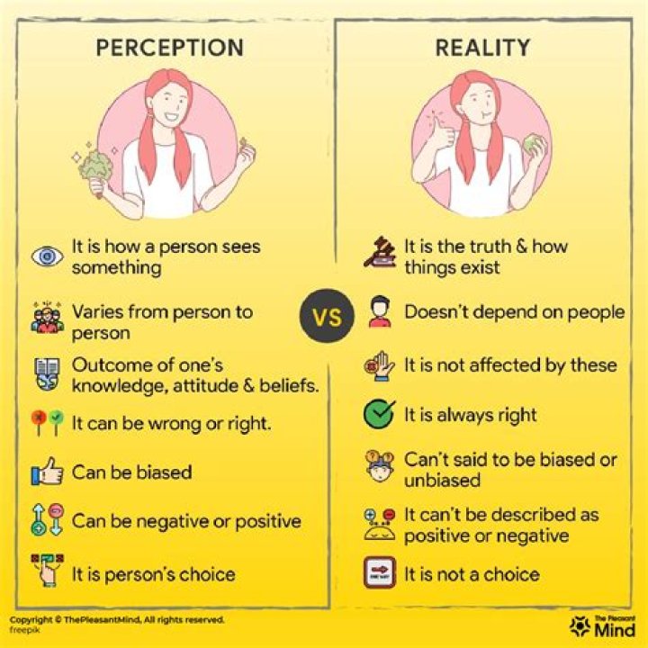 What is the difference between perception and awareness?