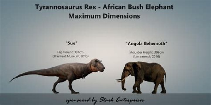 What is the difference between Trex and AZEK