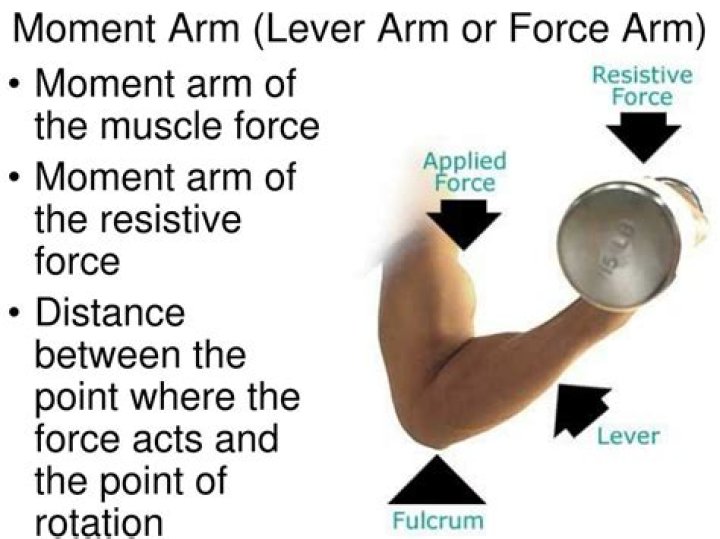 What is the force arm?
