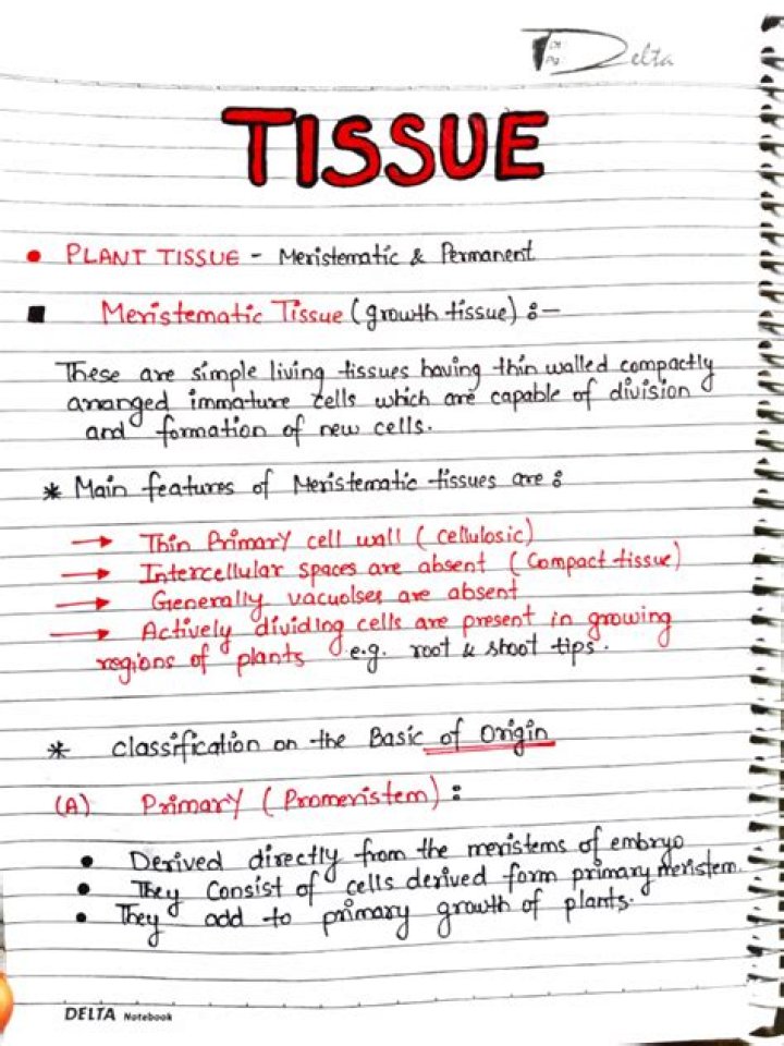 What is the form of tissue poem