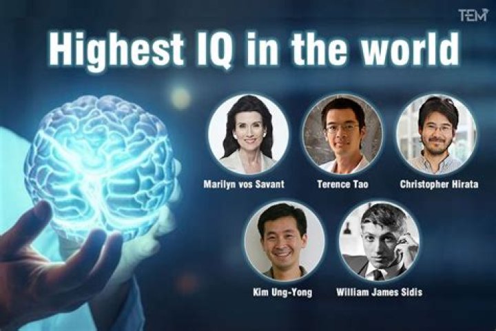 What is the highest IQ in the world 2019?
