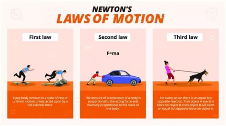What is the meaning of law of action and reaction