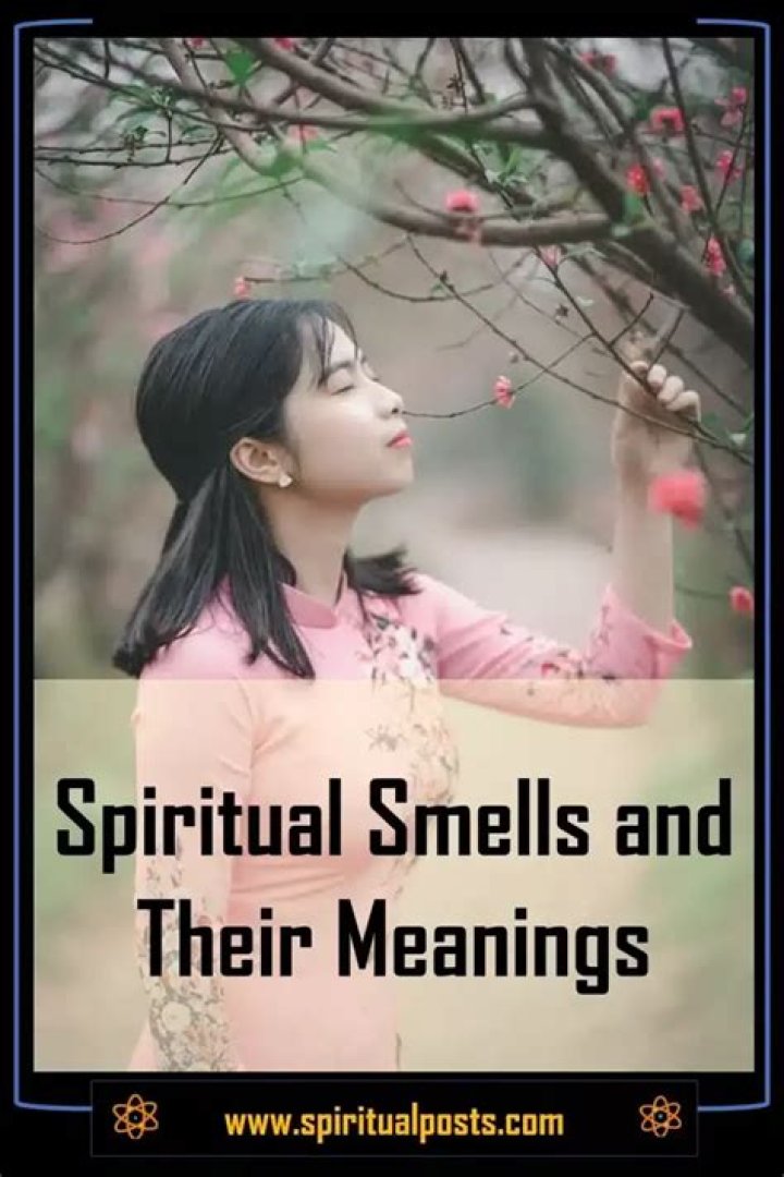 What is the meaning of Smells Like Teen Spirit?