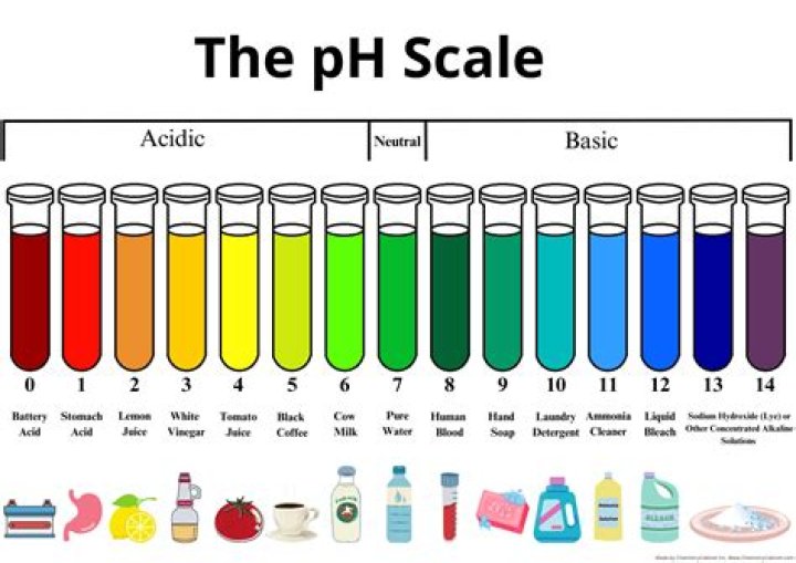 What is the pH level of bleach?