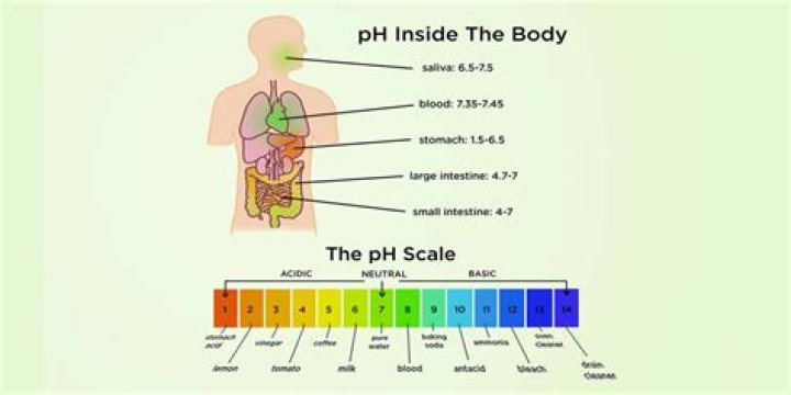 What is the pH scale in biology