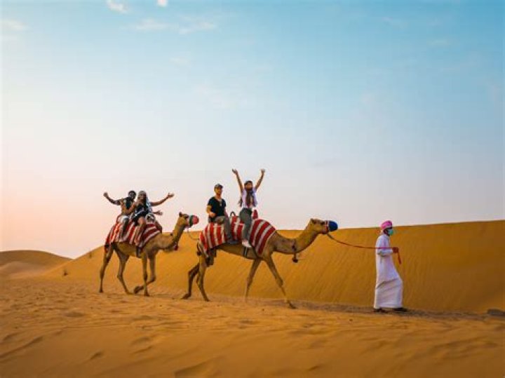 What is the price of Dubai safari?