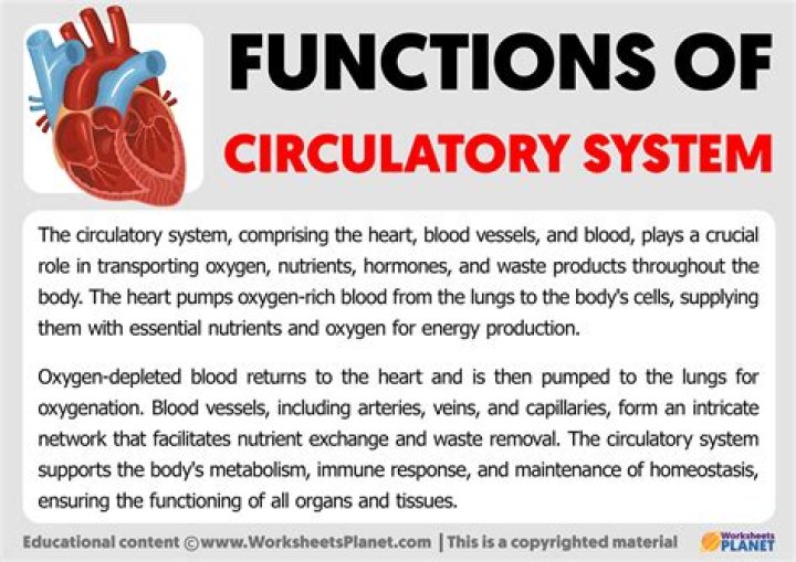 What is the primary function of SNA?