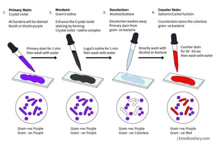 What is the purpose of Decolorizing in any differential stain?