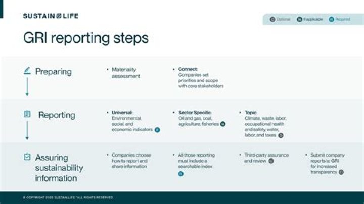 What is the reporting framework?