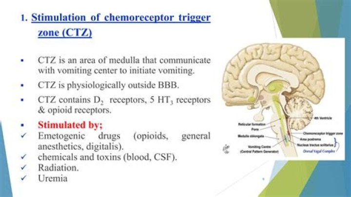 What is the result of stimulating the chemoreceptor trigger zone