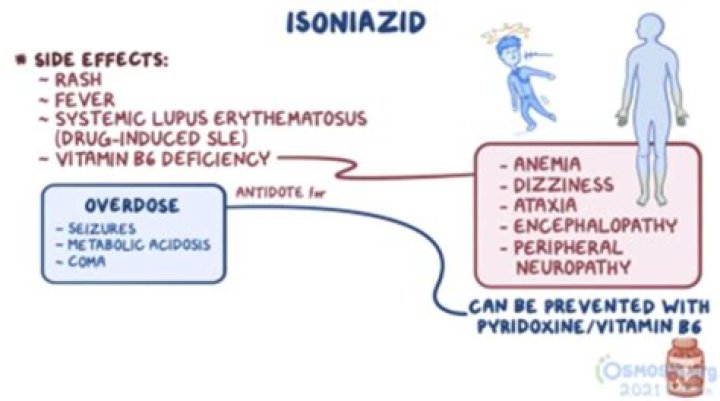What is the side effects of isoniazid?