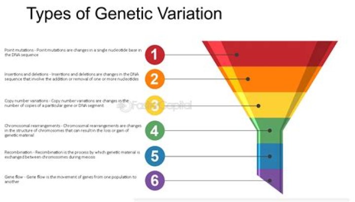 What is the term for a gradient of genetic or biological variation across geographic space