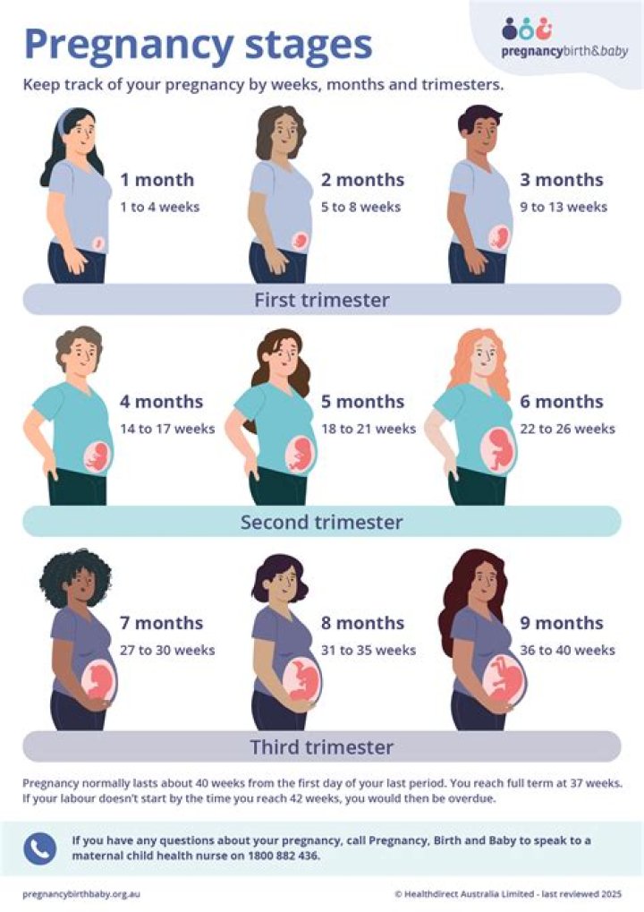 What is the third stage of pregnancy called