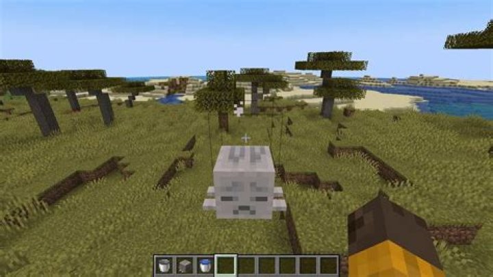 What is the use of dried leaves