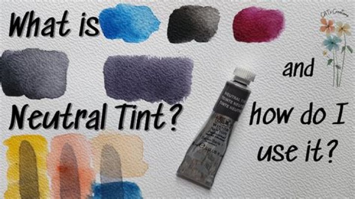 What is Tinter in paint?