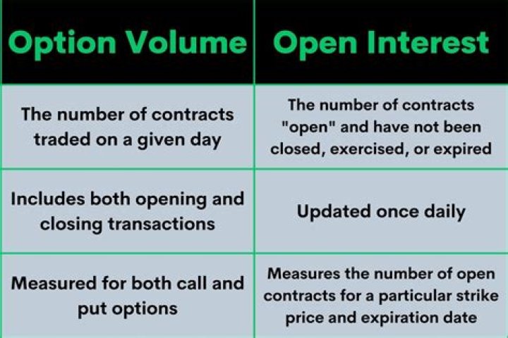 What is volume and open interest in options?