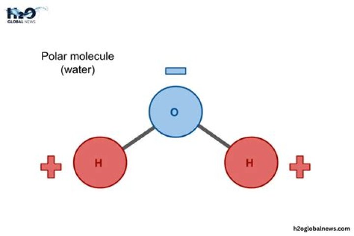 What is water considered a polar molecule