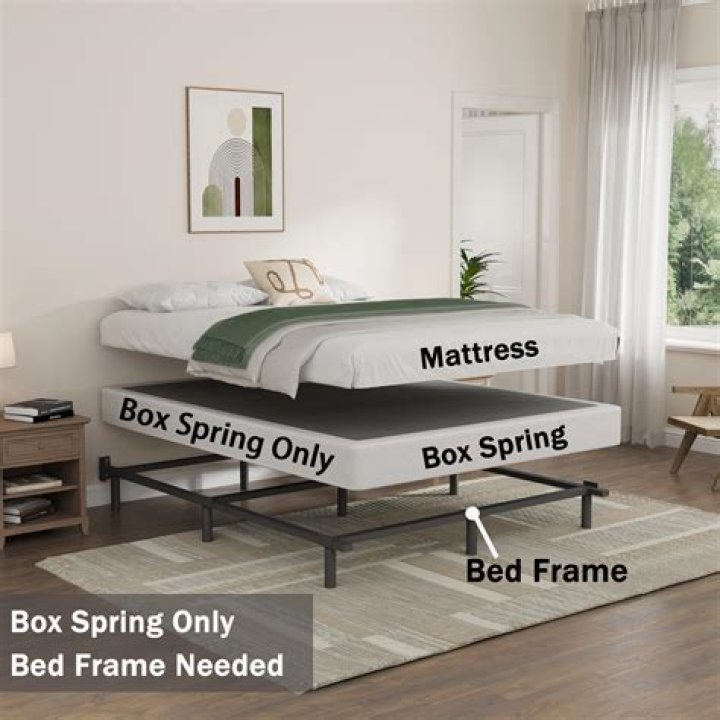 What kind of bed has no box spring?