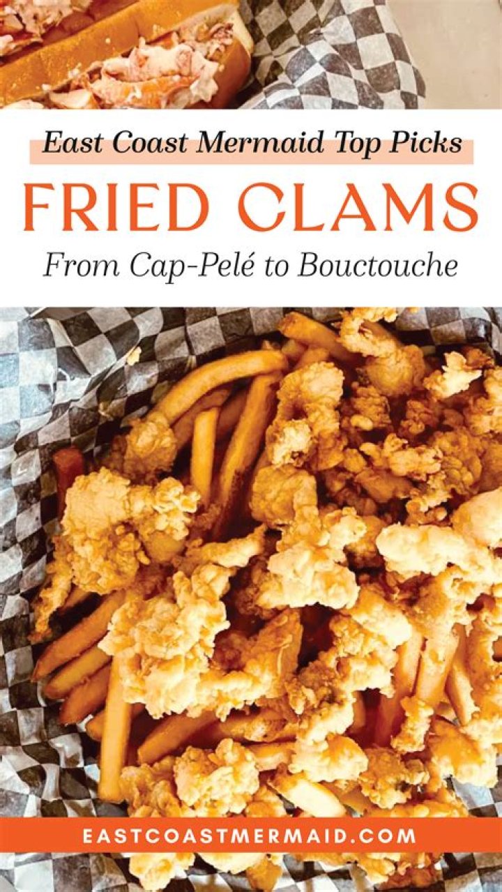 what kind of clams are used for fried clams