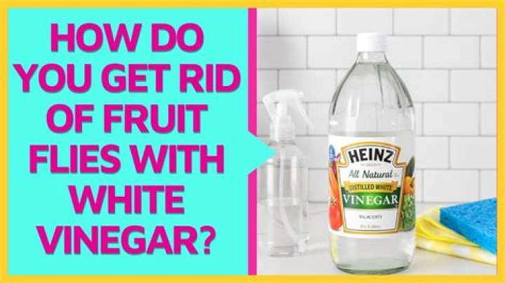What kind of vinegar kills fruit flies