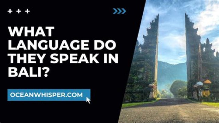 What language do the Miao speak?