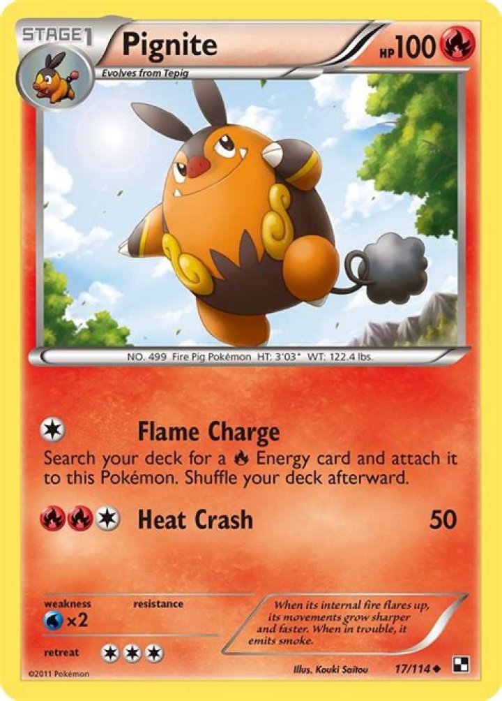 what level does pignite evolve