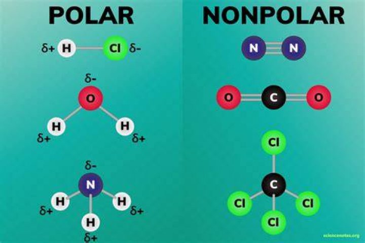 What makes a molecule polar or nonpolar?