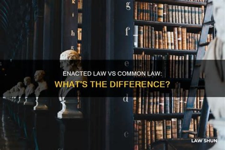 What makes up enacted law