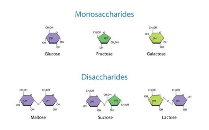 What monosaccharides are in cellulose?