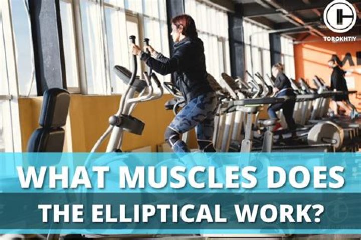 what muscles do ellipticals work