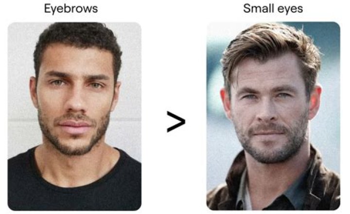 What nose is most attractive?