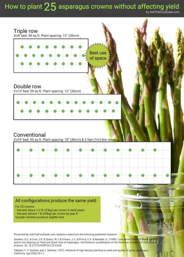 What part of asparagus should you not eat?