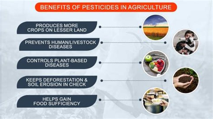 What pesticides do exterminators use