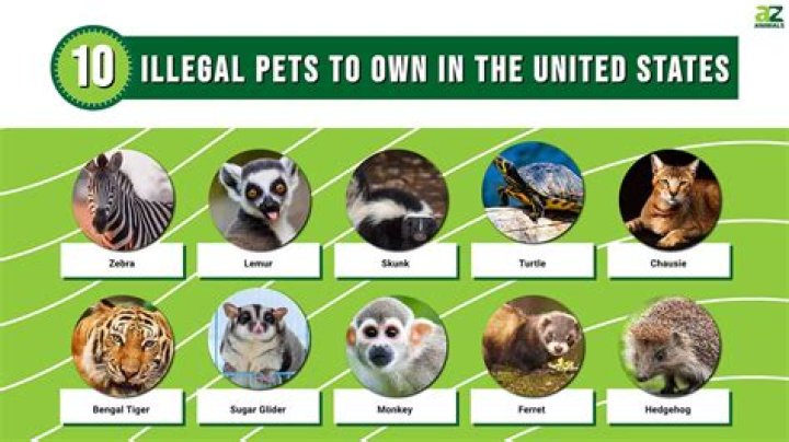 What pets are illegal in Texas?