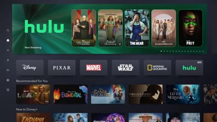 What programs do you get with Hulu?