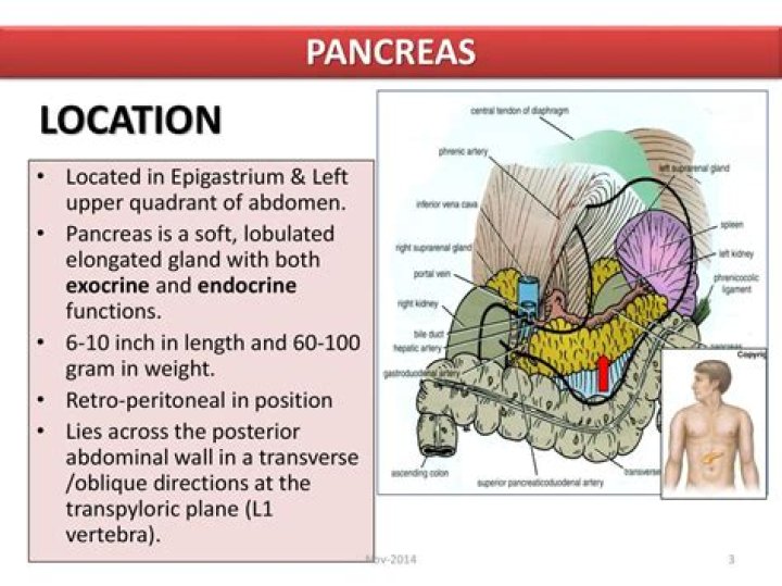 what quadrant is the pancreas in