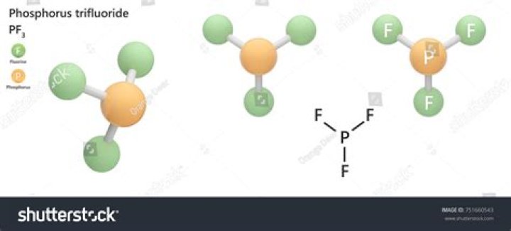 What’s Avogadro’s answer for the shape of PF3 molecule correct?