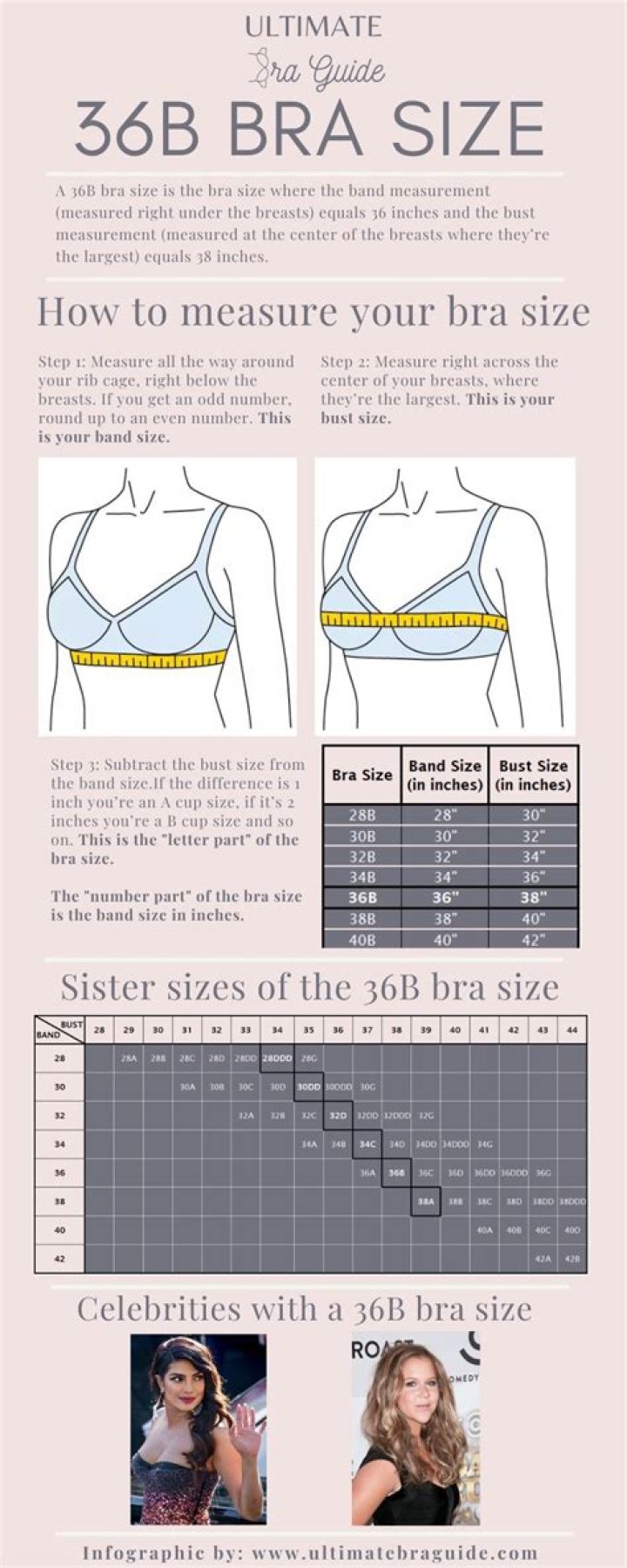 What size is a 36B?