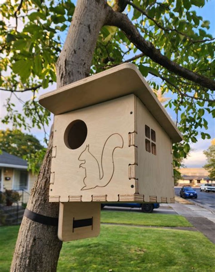What size should a squirrel house be?