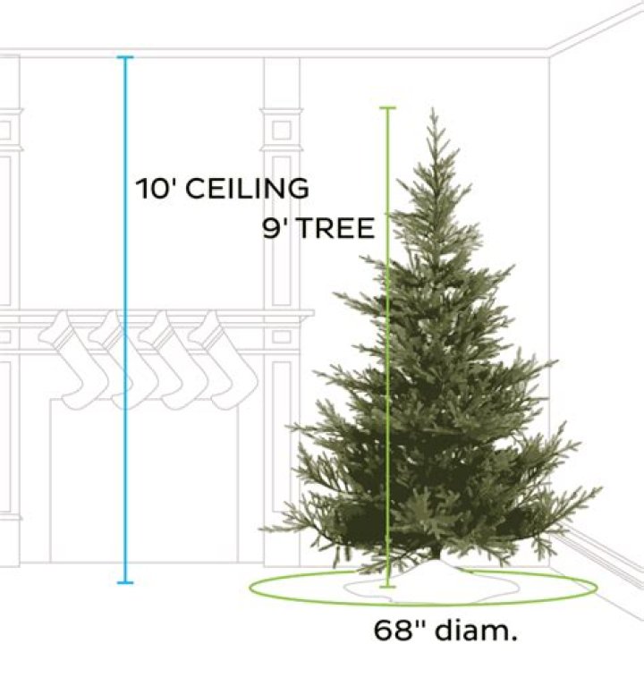 what size tree for 8 foot ceilings