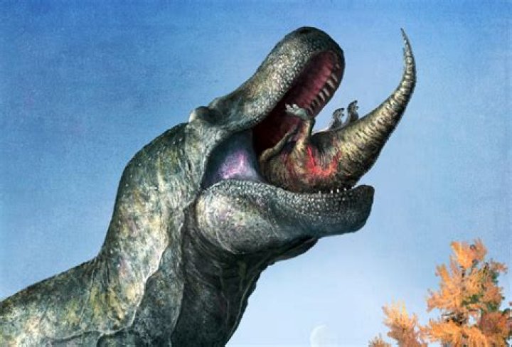 what sort of dinosaur has 500 teeth
