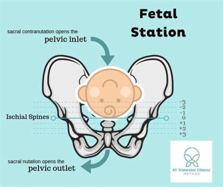 What station is Loveline on