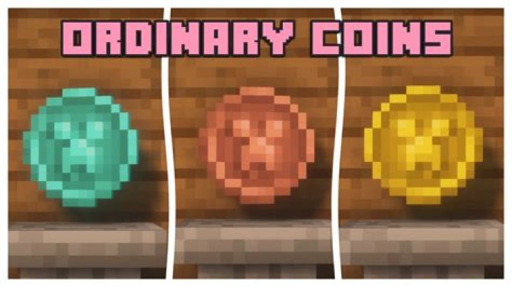 What to do with coins in Terraria